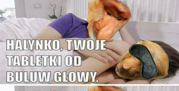 Spryciarz :D 