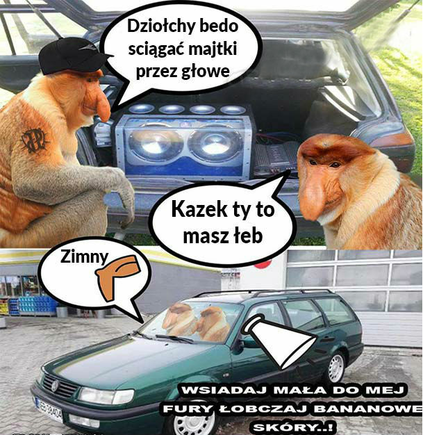Janusz i Szwagier w akcji 