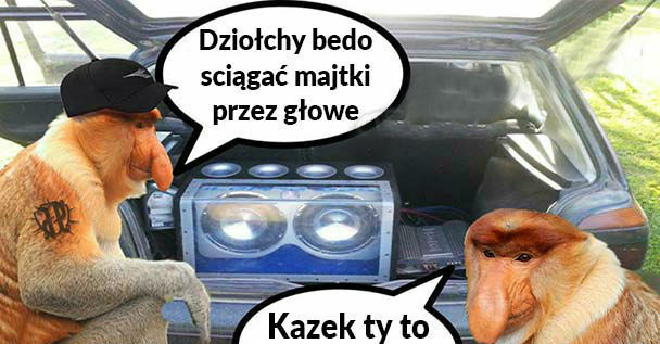 Skóra, fura i komóra :D 