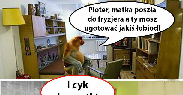 Obiad według Piotera 