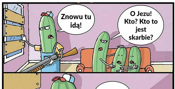 Dzień z życia ogórka 