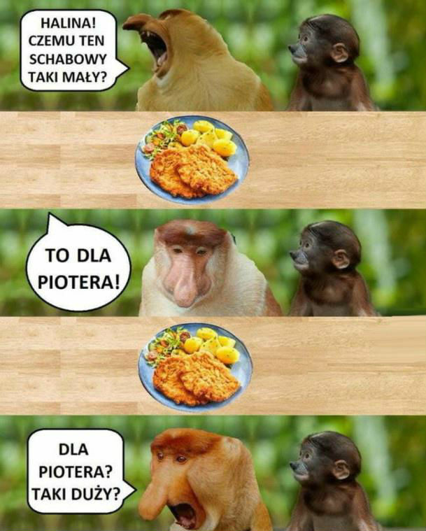 Tymczasem w polskim domu... 