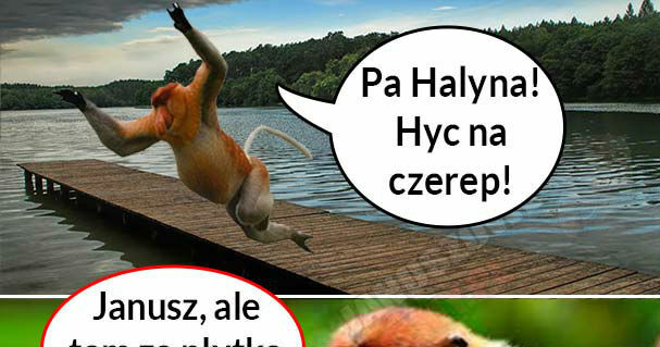 Janusz nad jeziorem 