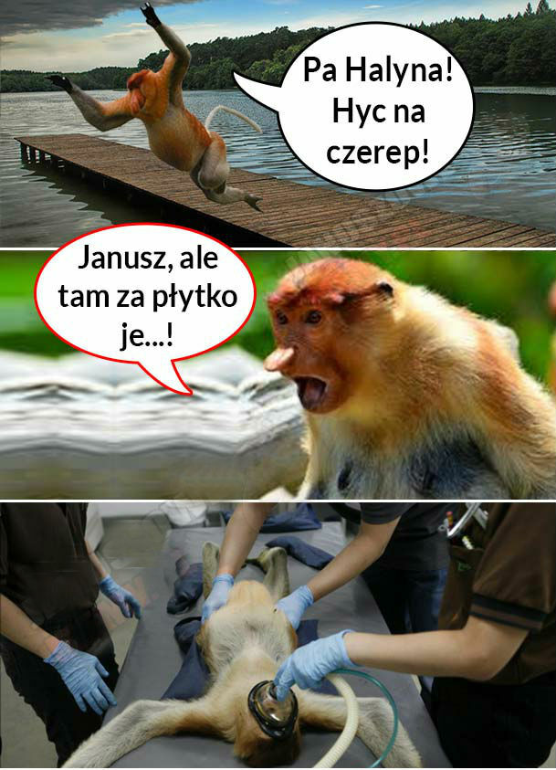 Janusz nad jeziorem 