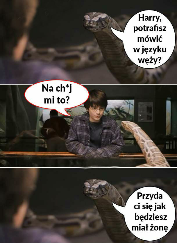 Język węży 