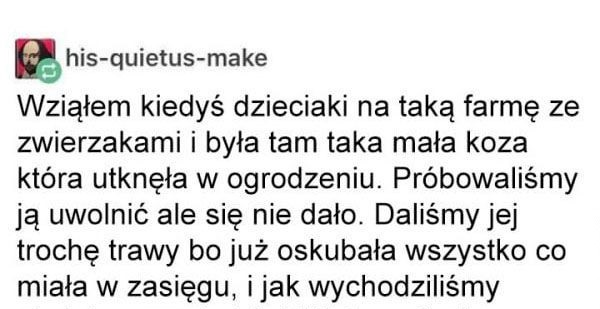 Strollowany przez kozę 