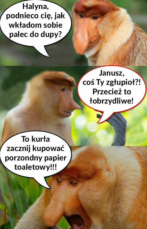 Janusz ma pytanie...