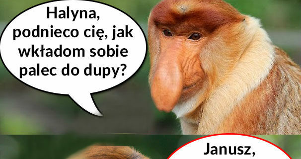 Janusz ma pytanie...