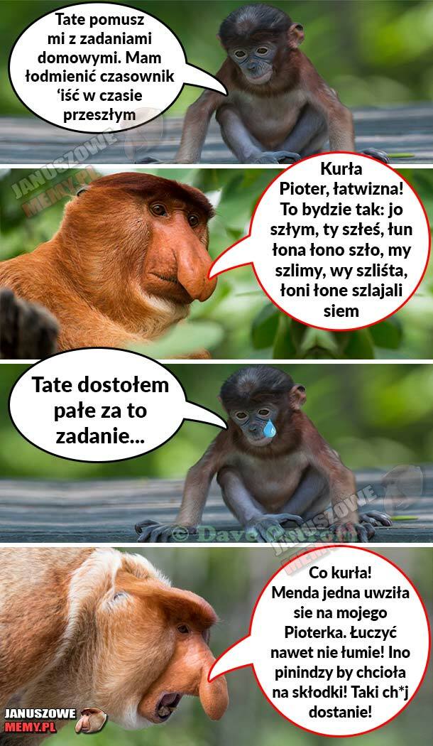 Kiedy Janusz chce pomóc z zadaniem domowym 