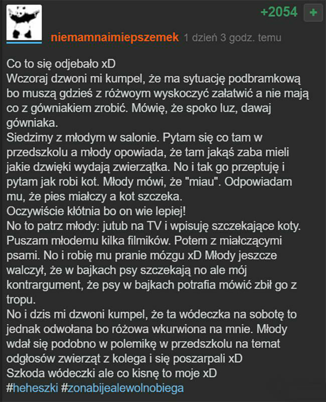Mistrz trollowania 