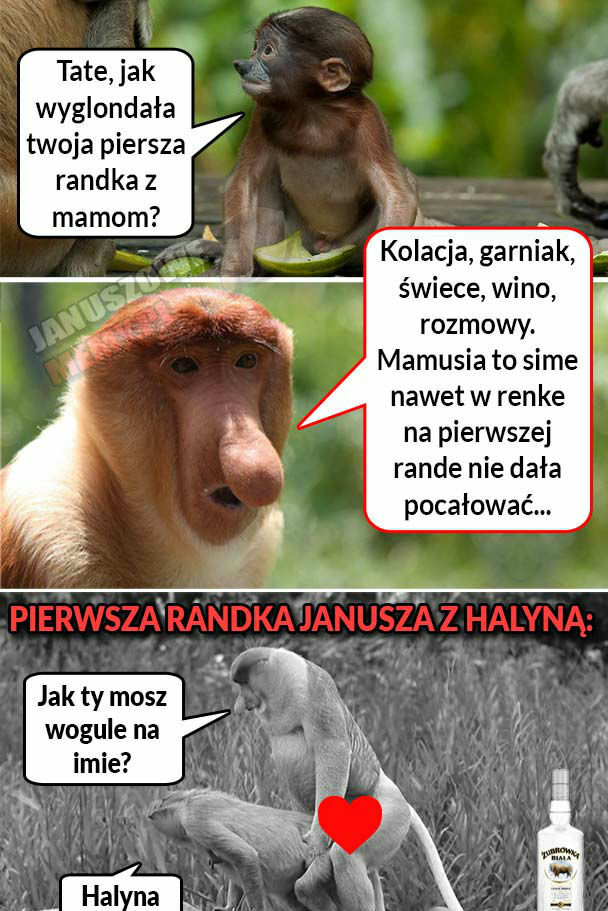 Pierwsza randka Janusza z Halynką 