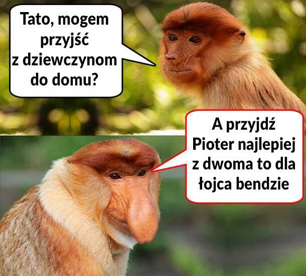 Kiedy Pioter chce przyprowadzić dziewczynę :D 