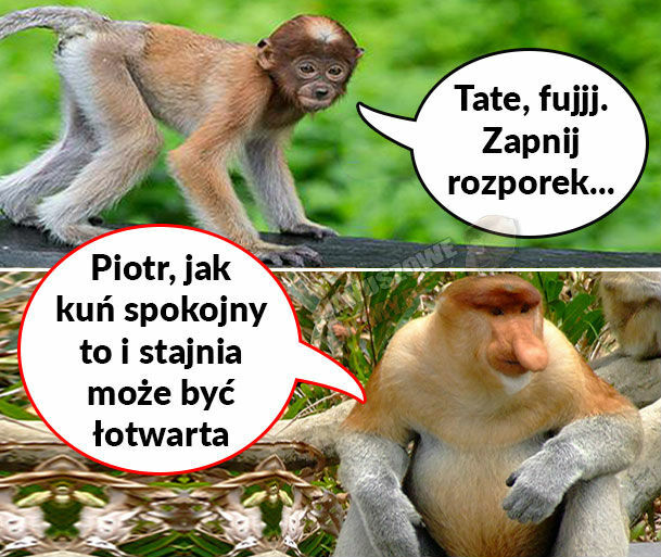 Janusz nie ma wstydu :D 