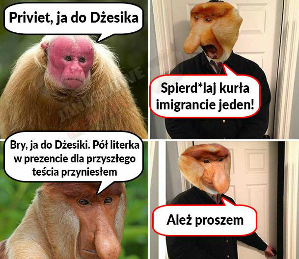 Kiedy do Dżesiki przyjdzie kawaler...