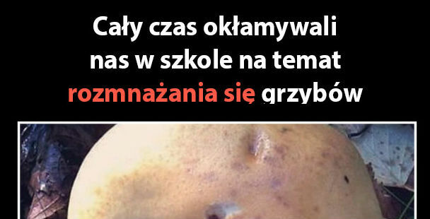 Całe życie w kłamstwie 