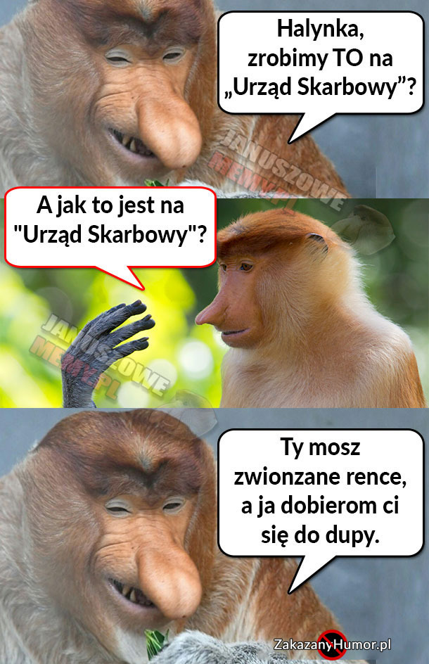 Eksperymenty Janusza 