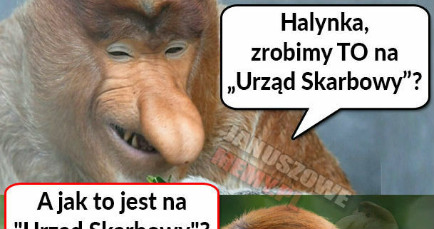 Eksperymenty Janusza 
