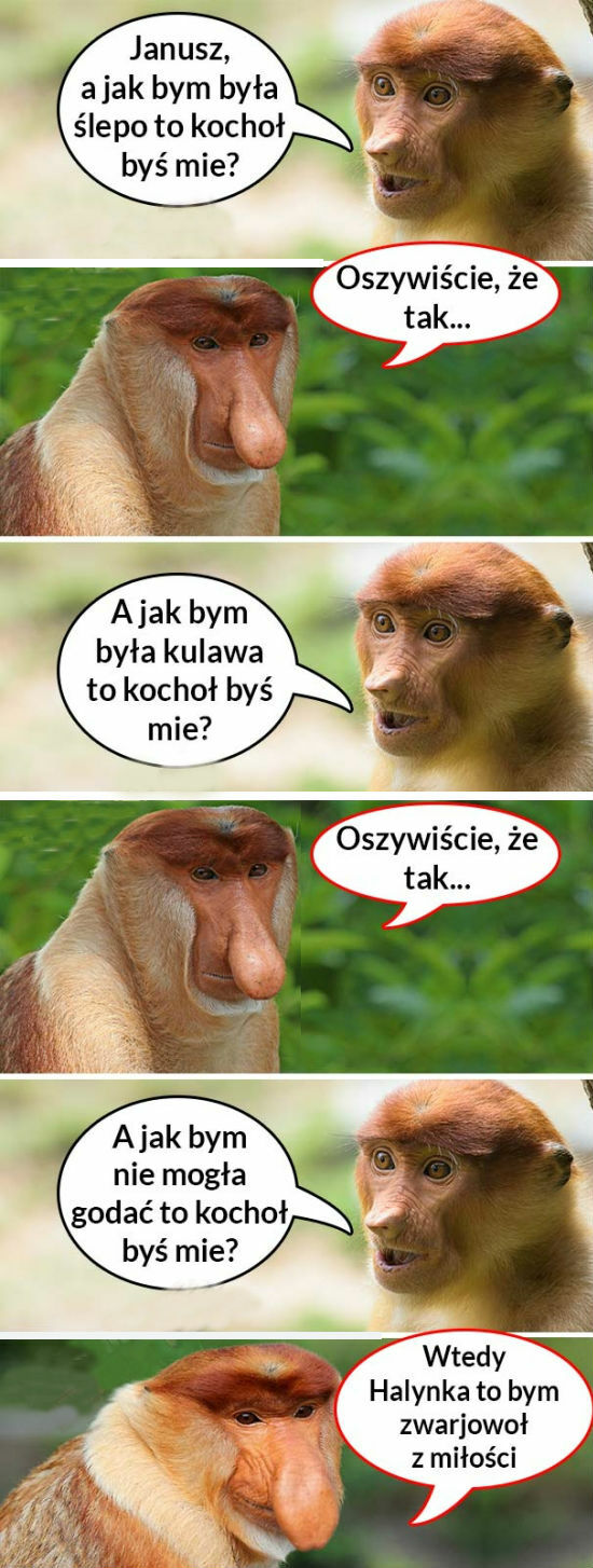 Szalony z miłości 
