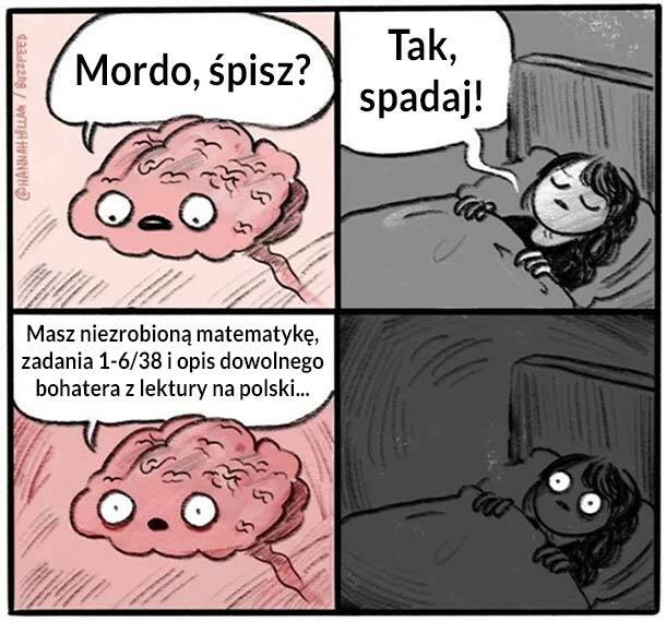 Mój mózg, kiedy zasypiam 