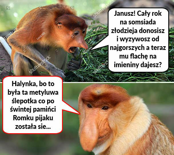 Prezent dla somsiada :D 