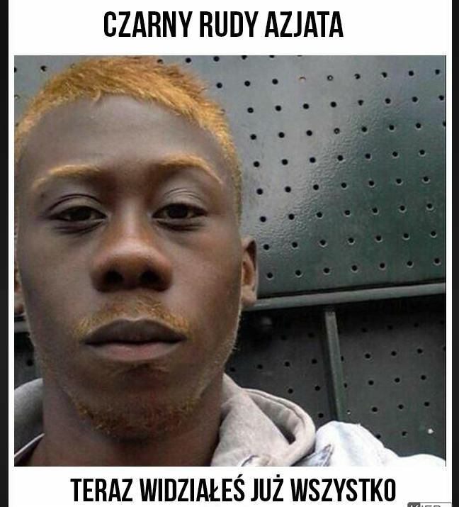 Teraz widziałeś już wszystko