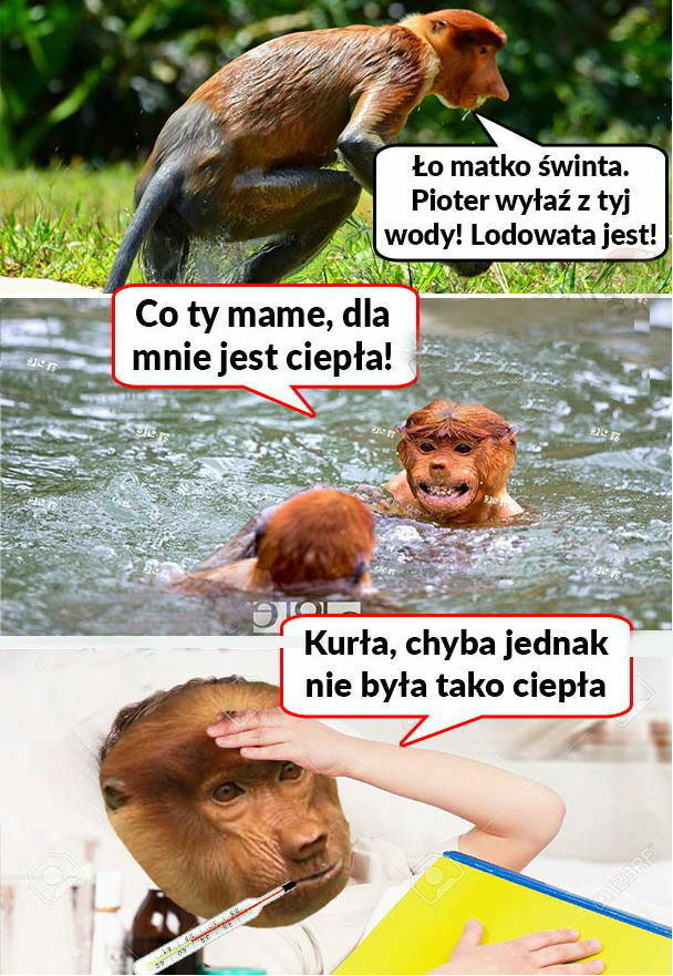 Nieusłuchany Pioter  