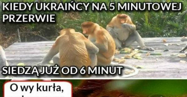 Jeszcze się policzymy 