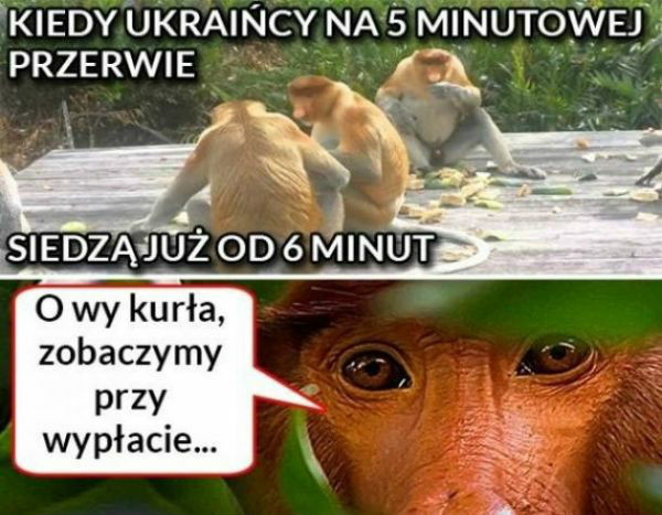 Jeszcze się policzymy 
