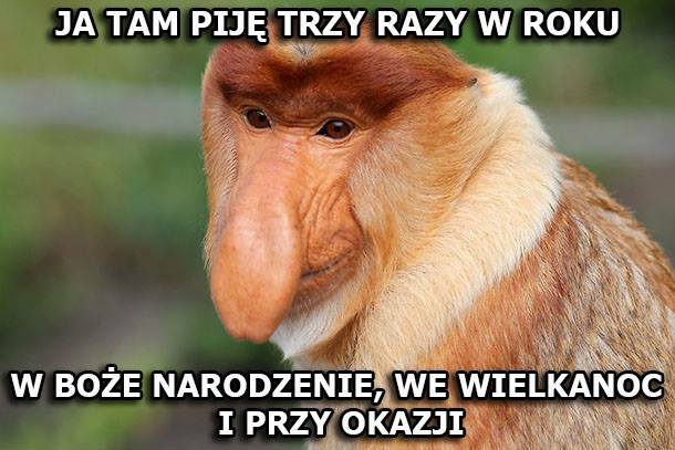 Janusz abstynent 