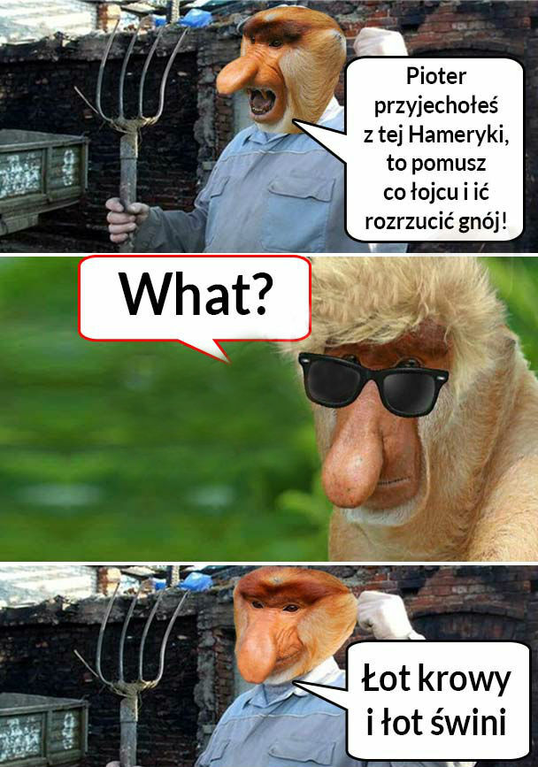 Kiedy Pioter wróci z Ameryki 