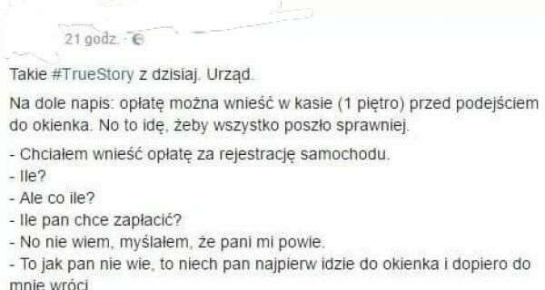 Pato-urzędy 