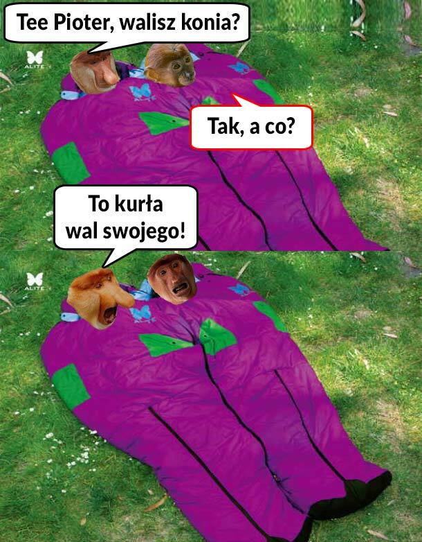 Pioter i Janusz w śpiworze 