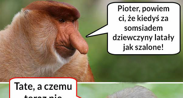 Somsiad miał powodzenie :D 