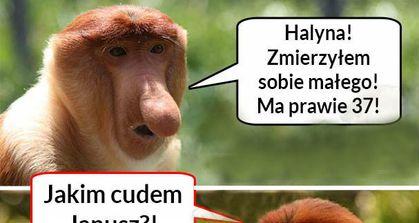 Janusz zmierzył tak, jak trzeba :D 