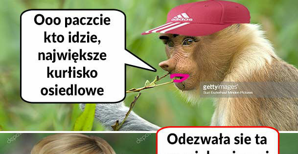 Kłótnia dwóch Karynek 