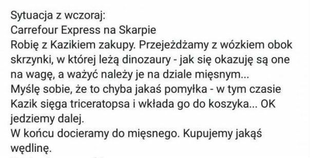 Steki z dinozaura :D 
