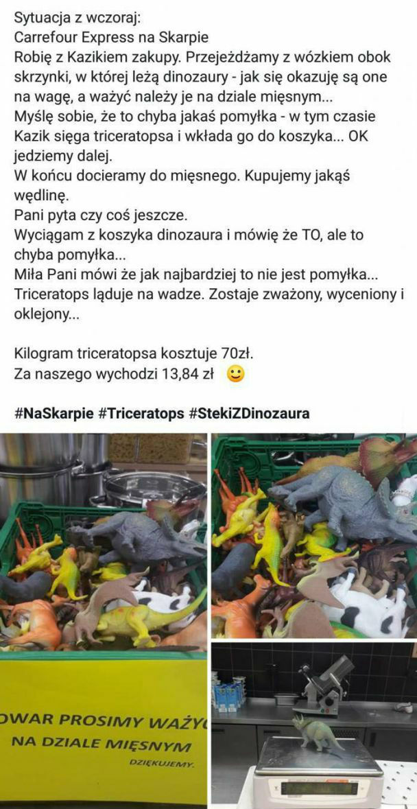 Steki z dinozaura :D 