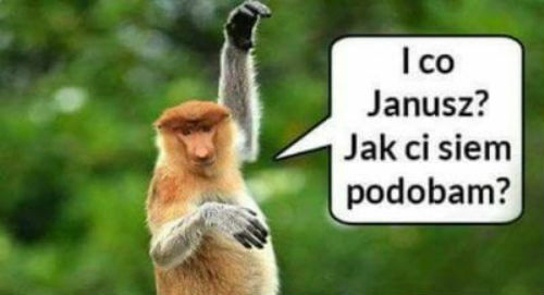 Czy Halynka podoba się Januszowi? 