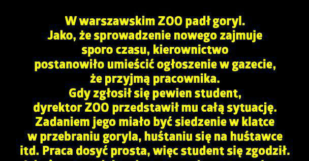 Tymczasem w zoo :D