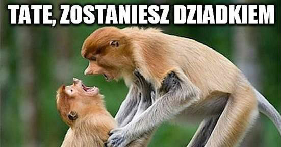 Janusz będzie dziadkiem