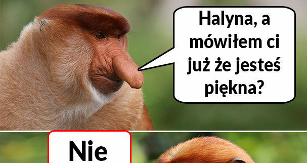 Janusz komplemenciarz 