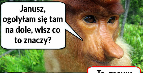 Janusz wie :D 