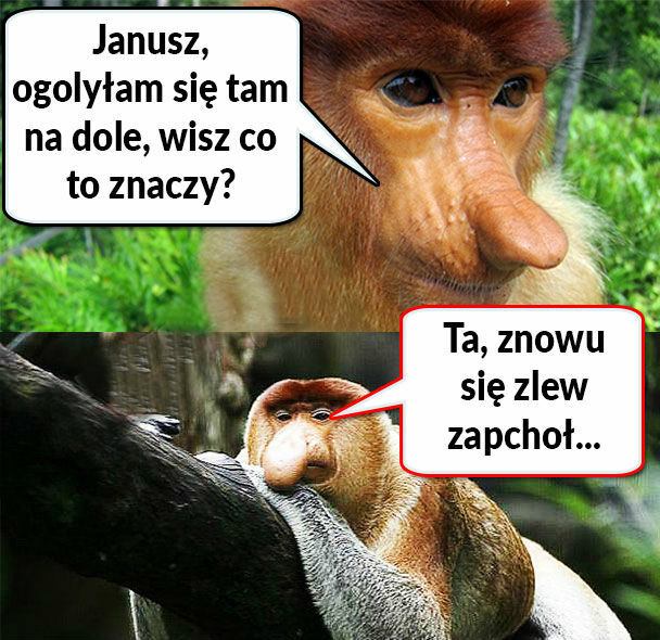 Janusz wie :D 