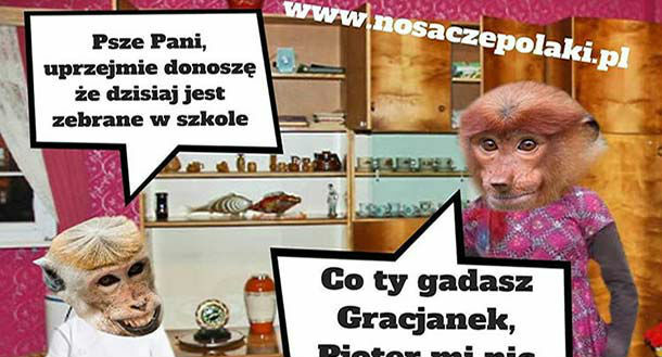 Gracjanek donosiciel 