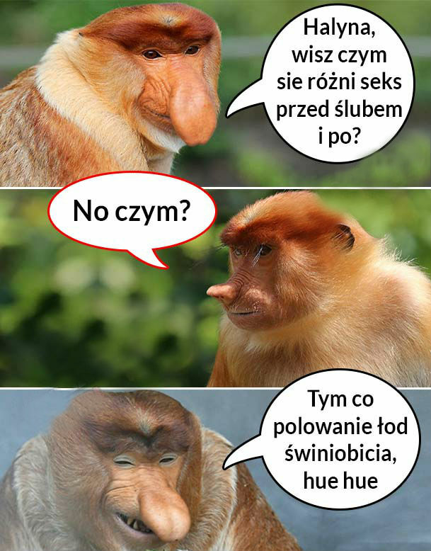 Janusz dowcipniś :D 