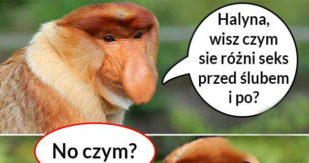 Janusz dowcipniś :D 