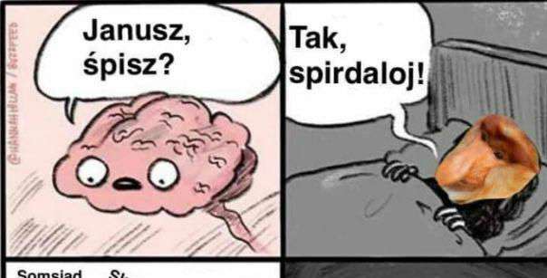 Janusz dzisiaj nie pośpi :D 