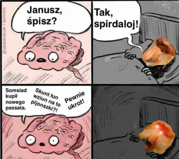 Janusz dzisiaj nie pośpi :D 