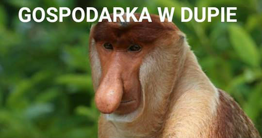 Logika Janusza 
