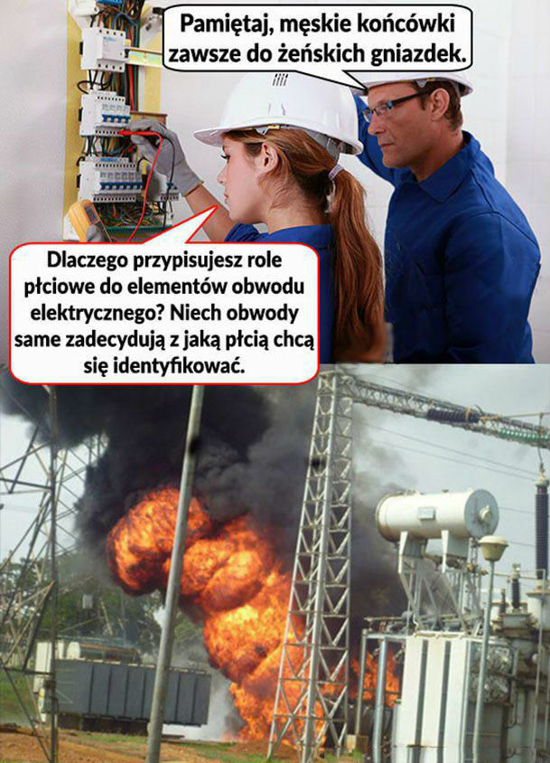 Płeć obwodów 